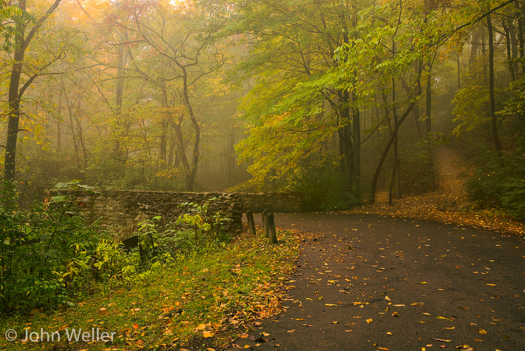 Road over a creek on a foggy fall morning in Rentschler Park