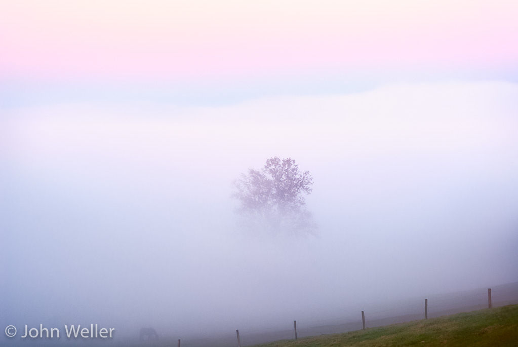 A foggy morning at the entrance to Cades Cove.