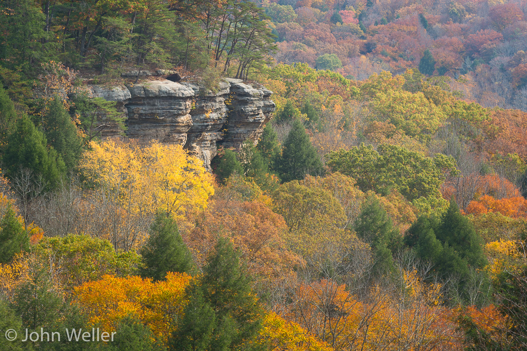 Rock face in Conkle's Hollow on a fall day.