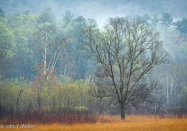 Landscapes Every landscape is it's own unique circumstance. Yet all provide for solitude, quiet reflection, serenity and beauty.